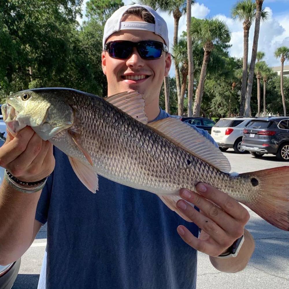 Meet your Posher, Peter